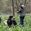 Checking out the Bluebells