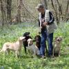 Bill persuades the dogs to pose